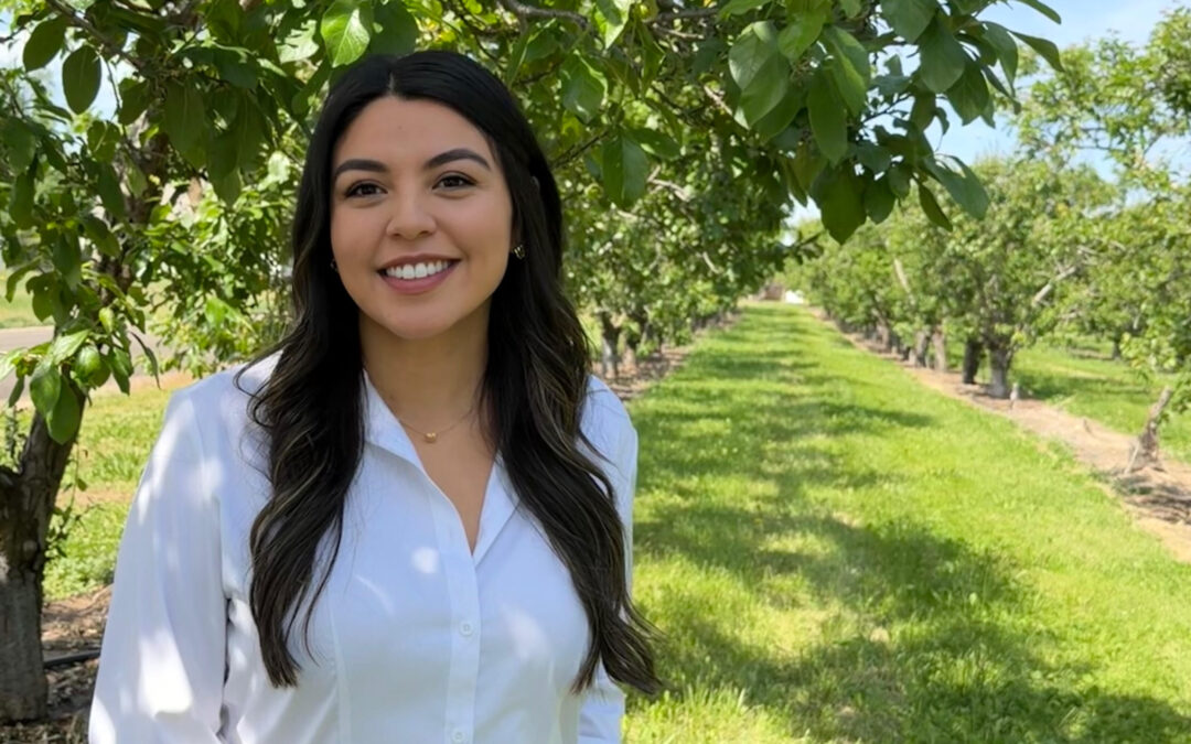 More Than a Scholarship: Why WAEF Matters to Our Industry
