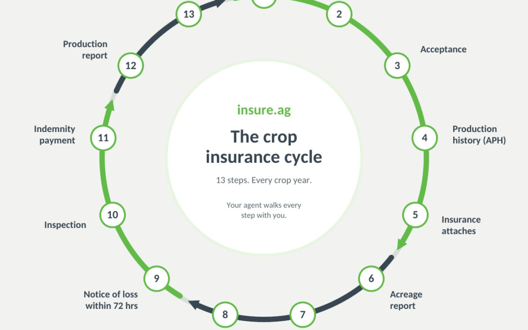 The crop insurance cycle, step by step