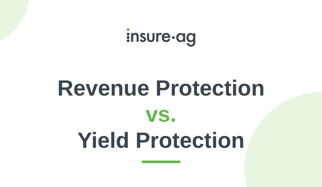 Revenue Protection vs. Yield Protection: Which Is Right for Your Farm?