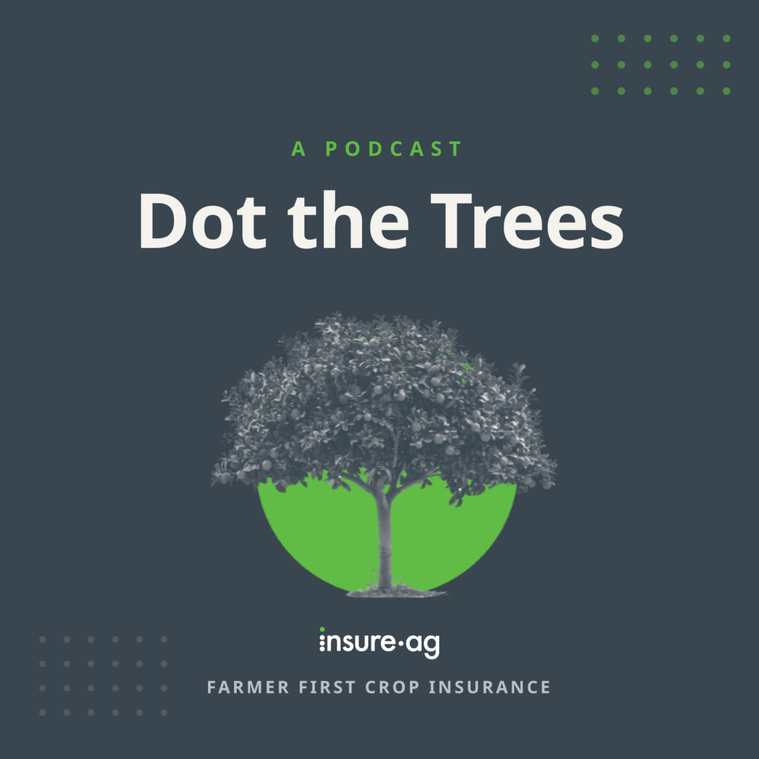 Introducing Dot the Trees, our new crop insurance podcast